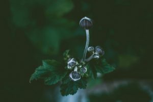 Identifying Emerging Housing Markets Poised for Growth