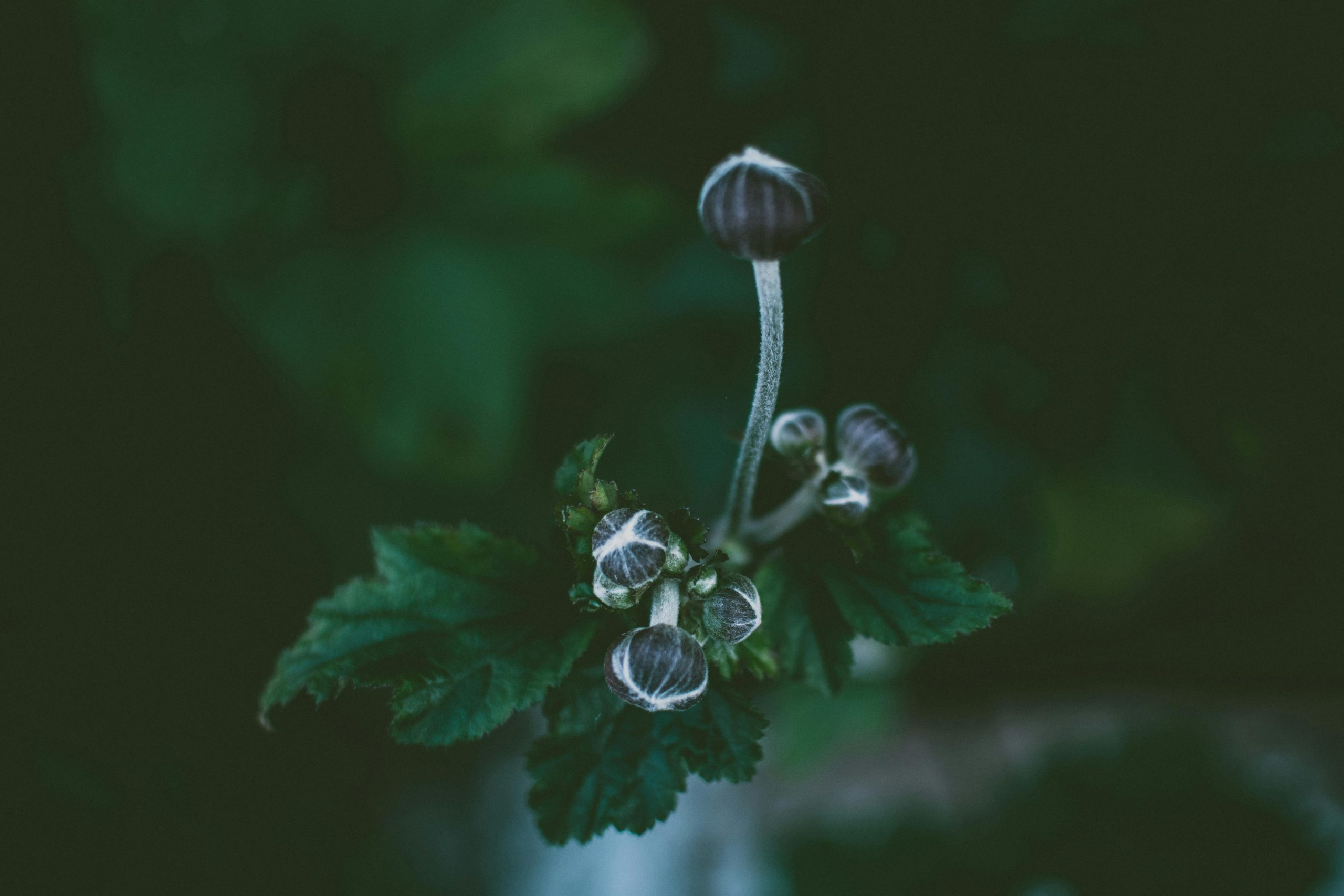 Identifying Emerging Housing Markets Poised for Growth