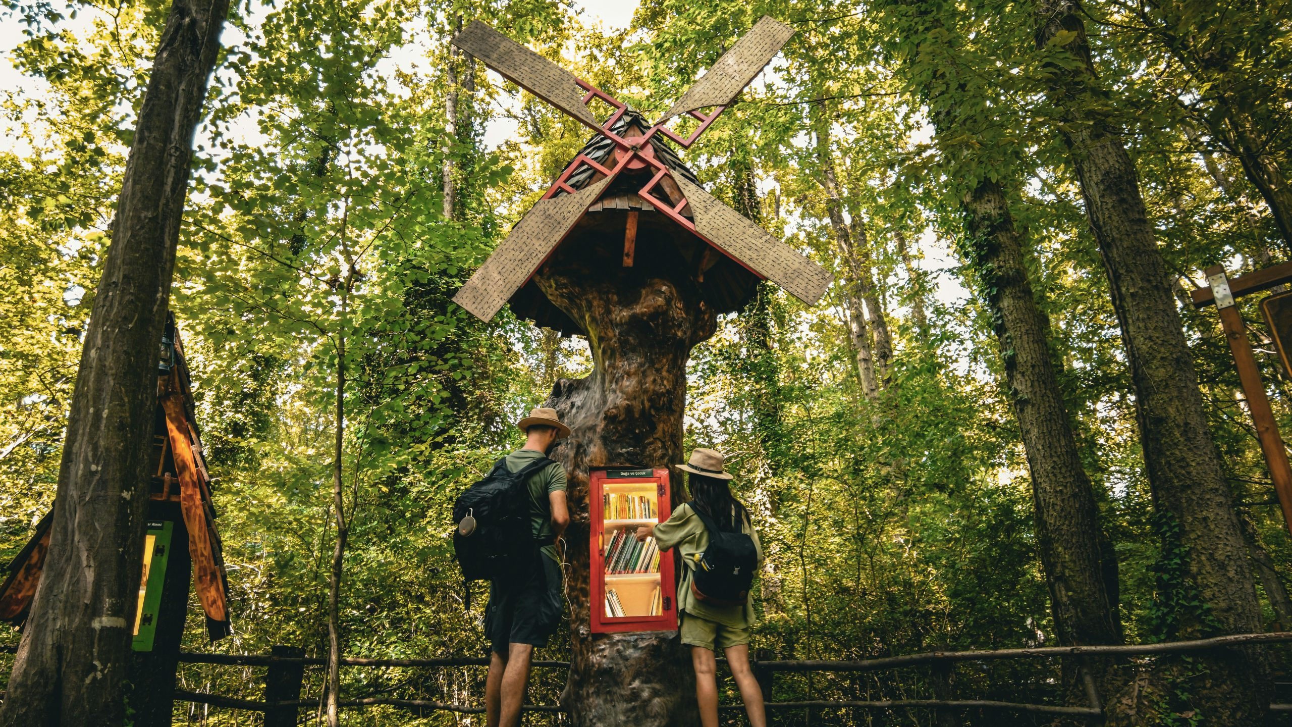 Exploring Green Careers: Sustainable Paths to Employment