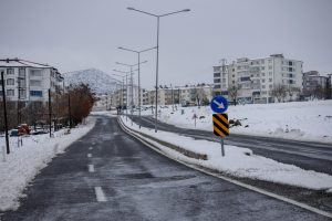 The Impact of Remote Work on Suburban Housing Demand