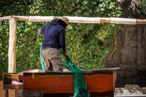 The Gig Economy Explained: Thriving as a Freelancer