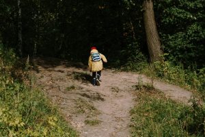 Exploring Peer-to-Peer Lending: Opportunities and Associated Risks