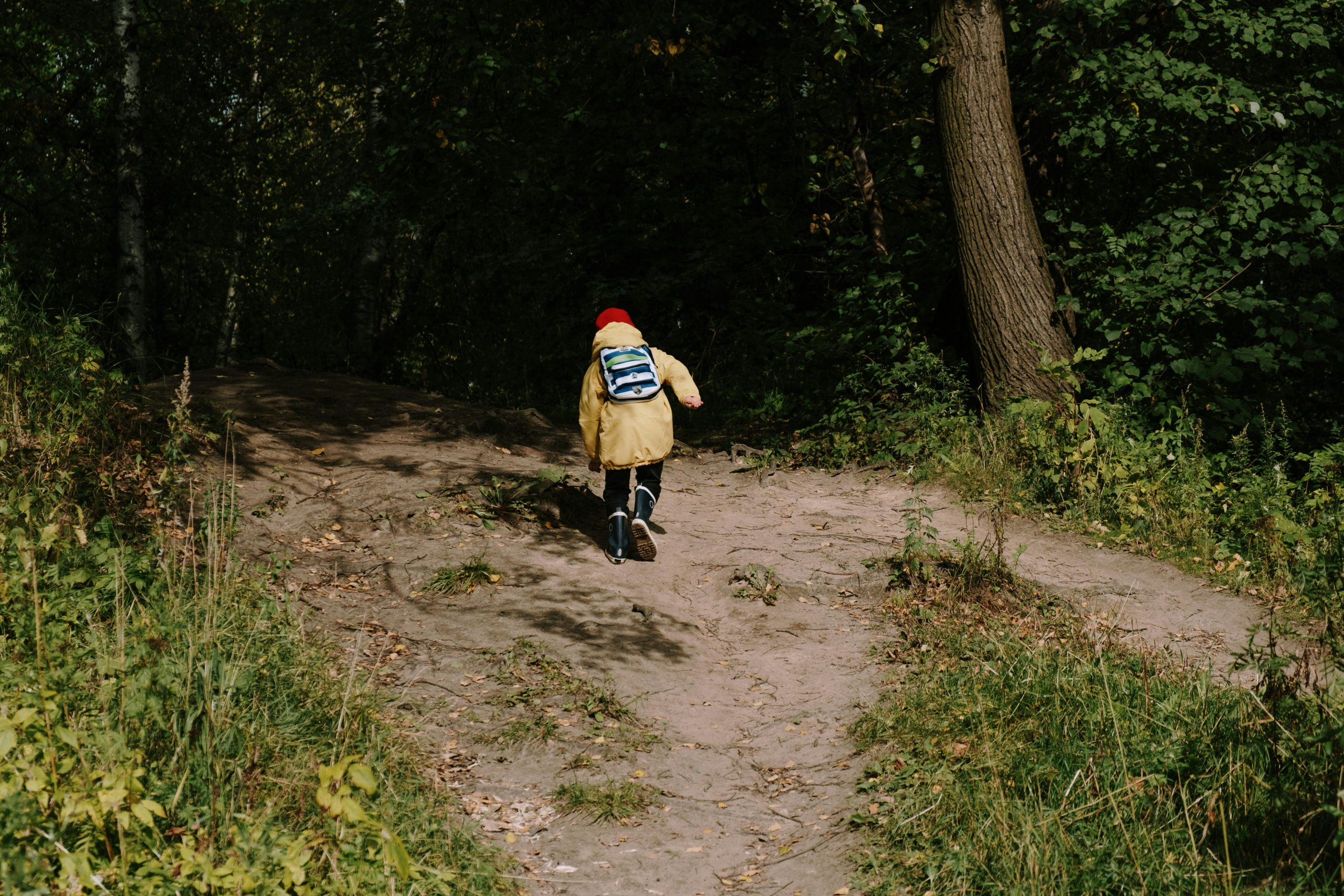 Exploring Peer-to-Peer Lending: Opportunities and Associated Risks