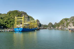 Sustainable Finance: Funding the Transition to a Green Economy