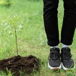 Starting a Podcast: Monetization and Audience Growth